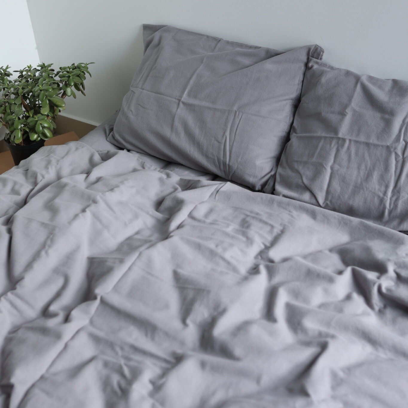 Flannel Sheet Set